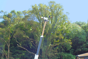 高所作業車での作業の様子