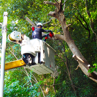 高所作業車での作業の様子