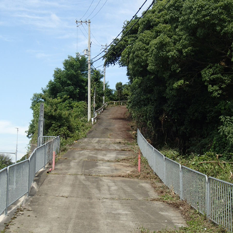 道路を覆う樹木の伐採後